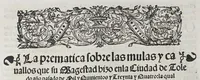 Picture 7 of 7 from Comiençan las cortes que Su Magestad del emperador y rey nuestro señor tuuo en la villa de Madrid: : con las leyes, y prematicas que en ella hizo, y ordeno. Juntamente con la prematica de las mulas, hecha en la ciudad de Toledo: y la declaracion despues hecha en las cortes de Madrid el año passado de mil y quinientos y treynta y quatro. (1535), leaf 40