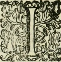 An illustration from Cominciamento e progresso dell' arte dell' intagliare in rame : colle vite di molti de' più eccellenti maestri della stessa professione (1686)