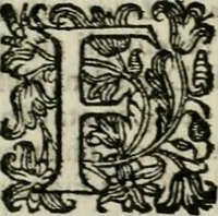 An illustration from Cominciamento e progresso dell' arte dell' intagliare in rame : colle vite di molti de' più eccellenti maestri della stessa professione (1686)