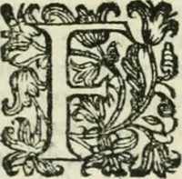 An illustration from Cominciamento e progresso dell' arte dell' intagliare in rame : colle vite di molti de' più eccellenti maestri della stessa professione (1686)