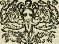 An illustration from Cominciamento e progresso dell' arte dell' intagliare in rame : colle vite di molti de' più eccellenti maestri della stessa professione (1686)