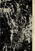 An illustration from The coming of the fairies (1922)