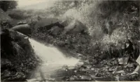 An illustration from The coming of the fairies (1922)