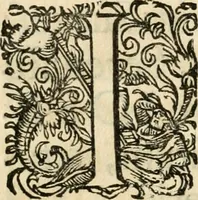 An illustration from Comitiologia Hungarica Semproniensis, hoc est, Regia inauguratio Augustae Imperatricis Eleonorae Magdalenae Teresiae : cum succincta recensione eorum, quae Sempronij Comitiorum tempore usq[ue] ad finem anni M.DC.LXXXI acta & articulis conditis sunt (1682)