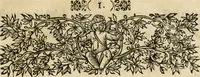 Picture 4 of 5 from Comitiologia Hungarica Semproniensis, hoc est, Regia inauguratio Augustae Imperatricis Eleonorae Magdalenae Teresiae : cum succincta recensione eorum, quae Sempronij Comitiorum tempore usq[ue] ad finem anni M.DC.LXXXI acta & articulis conditis sunt (1682), leaf 18