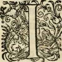 An illustration from Comitiologia Hungarica Semproniensis, hoc est, Regia inauguratio Augustae Imperatricis Eleonorae Magdalenae Teresiae : cum succincta recensione eorum, quae Sempronij Comitiorum tempore usq[ue] ad finem anni M.DC.LXXXI acta & articulis conditis sunt (1682)