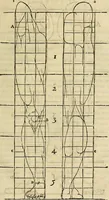 An illustration from Varia commensuracion para la escultura y arquitectura (1773)