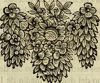 Picture 80 of 197 from Varia commensuracion para la escultura y arquitectura (1773), leaf 123