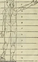 An illustration from Varia commensuracion para la escultura y arquitectura (1773)