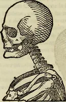 An illustration from Varia commensuracion para la escultura y arquitectura (1773)