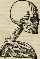 An illustration from Varia commensuracion para la escultura y arquitectura (1773)