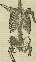 An illustration from Varia commensuracion para la escultura y arquitectura (1773)