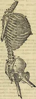 Picture 90 of 197 from Varia commensuracion para la escultura y arquitectura (1773), leaf 136