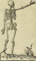 An illustration from Varia commensuracion para la escultura y arquitectura (1773)