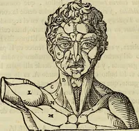 An illustration from Varia commensuracion para la escultura y arquitectura (1773)