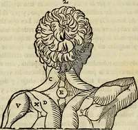 An illustration from Varia commensuracion para la escultura y arquitectura (1773)