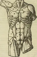 An illustration from Varia commensuracion para la escultura y arquitectura (1773)