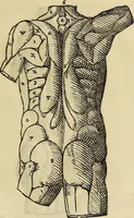 An illustration from Varia commensuracion para la escultura y arquitectura (1773)