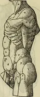 An illustration from Varia commensuracion para la escultura y arquitectura (1773)