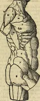 An illustration from Varia commensuracion para la escultura y arquitectura (1773)