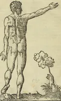 An illustration from Varia commensuracion para la escultura y arquitectura (1773)