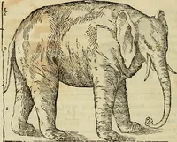 An illustration from Varia commensuracion para la escultura y arquitectura (1773)