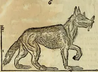 An illustration from Varia commensuracion para la escultura y arquitectura (1773)