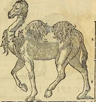 An illustration from Varia commensuracion para la escultura y arquitectura (1773)