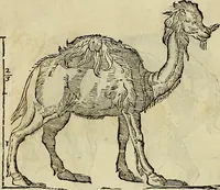 An illustration from Varia commensuracion para la escultura y arquitectura (1773)