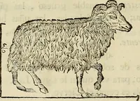 An illustration from Varia commensuracion para la escultura y arquitectura (1773)