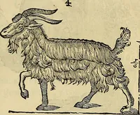 An illustration from Varia commensuracion para la escultura y arquitectura (1773)