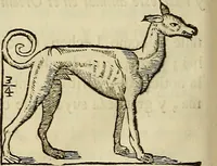 An illustration from Varia commensuracion para la escultura y arquitectura (1773)