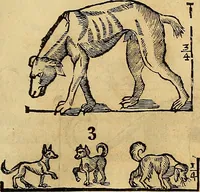An illustration from Varia commensuracion para la escultura y arquitectura (1773)