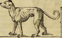 An illustration from Varia commensuracion para la escultura y arquitectura (1773)