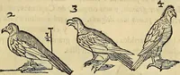 An illustration from Varia commensuracion para la escultura y arquitectura (1773)