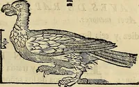 An illustration from Varia commensuracion para la escultura y arquitectura (1773)