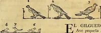 An illustration from Varia commensuracion para la escultura y arquitectura (1773)