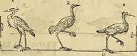 An illustration from Varia commensuracion para la escultura y arquitectura (1773)
