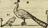An illustration from Varia commensuracion para la escultura y arquitectura (1773)
