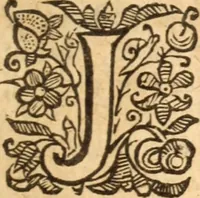 An illustration from A practical commentary, or, An exposition with notes on the Epistle of James : delivered in sundry weekly lectures at Stoke-Newington in Middlesex, near London (1653)