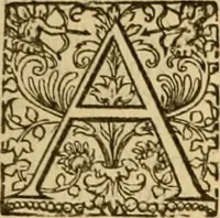 An illustration from Commentaires de Iean Calvin sur la concordance ou harmonie, composee des trois Evagelistes, assavoir sainct Matthieu, sainct Marc, & sainct Luc ... sur l'Evangile sainct Iean, & sur le second livre de sainct Luc, dit, Les Actes des Apostres (1563)