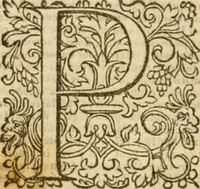 An illustration from Commentaires sur toutes les epistres de l'apostre S. Paul, et aussi sur l'epistre aux Hebrieux : item, sur les epistres canoniques de S. Pierre, S. Iehan, S. Iaques, et S. Iude .. (1561)
