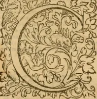 An illustration from Commentaires sur toutes les epistres de l'apostre S. Paul, et aussi sur l'epistre aux Hebrieux : item, sur les epistres canoniques de S. Pierre, S. Iehan, S. Iaques, et S. Iude .. (1561)