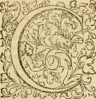 An illustration from Commentaires sur toutes les epistres de l'apostre S. Paul, et aussi sur l'epistre aux Hebrieux : item, sur les epistres canoniques de S. Pierre, S. Iehan, S. Iaques, et S. Iude .. (1561)