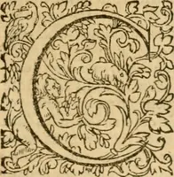 An illustration from Commentaires sur toutes les epistres de l'apostre S. Paul, et aussi sur l'epistre aux Hebrieux : item, sur les epistres canoniques de S. Pierre, S. Iehan, S. Iaques, et S. Iude .. (1561)