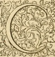 An illustration from Commentaires sur toutes les epistres de l'apostre S. Paul, et aussi sur l'epistre aux Hebrieux : item, sur les epistres canoniques de S. Pierre, S. Iehan, S. Iaques, et S. Iude .. (1561)