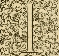 An illustration from Commentaires sur toutes les epistres de l'apostre S. Paul, et aussi sur l'epistre aux Hebrieux : item, sur les epistres canoniques de S. Pierre, S. Iehan, S. Iaques, et S. Iude .. (1561)