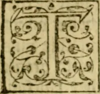 An illustration from A Commentarie of John Calvine upon the first booke of Moses called Genesis (1578)