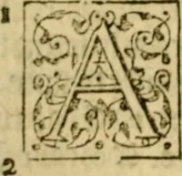 Picture 20 of 46 from A Commentarie of John Calvine upon the first booke of Moses called Genesis (1578), leaf 313