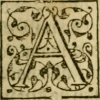 An illustration from A Commentarie of John Calvine upon the first booke of Moses called Genesis (1578)